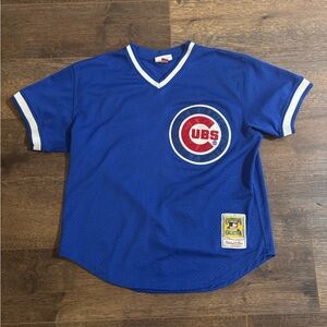 Men's Ryne Sandberg Chicago Cubs 1984 Mesh Batting Practice Jersey 44L